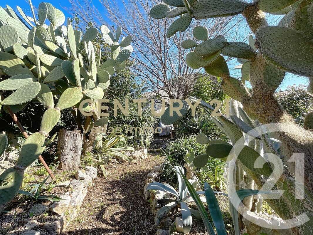 Maison à SAINT-JEAN-DE-VEDAS