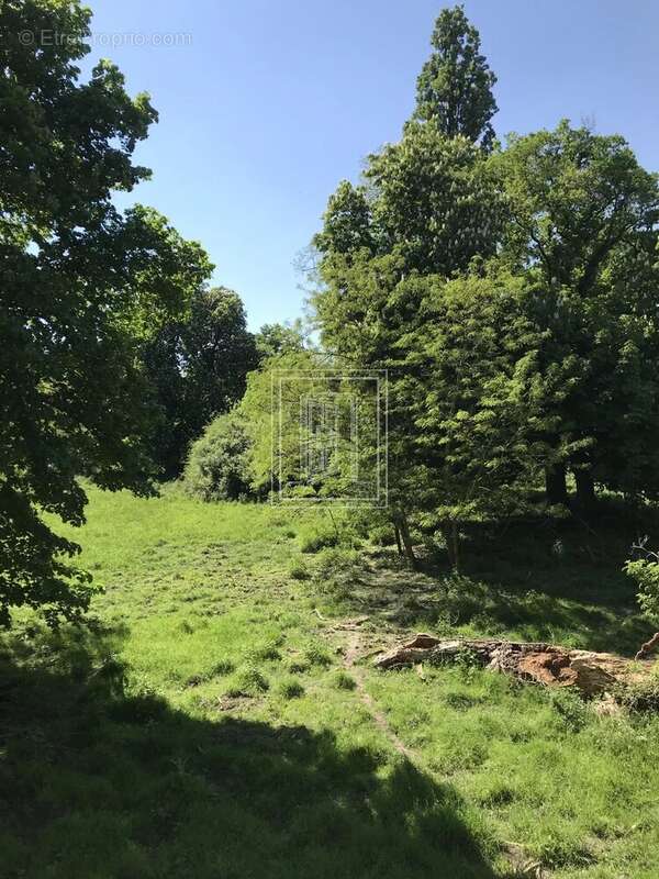 Maison à PRUNIERS-EN-SOLOGNE