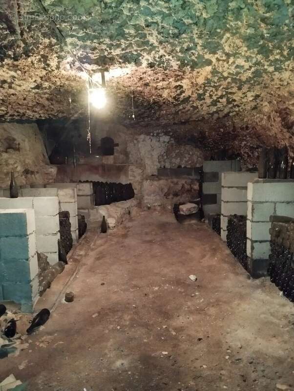 Maison à MONTREUIL-BELLAY