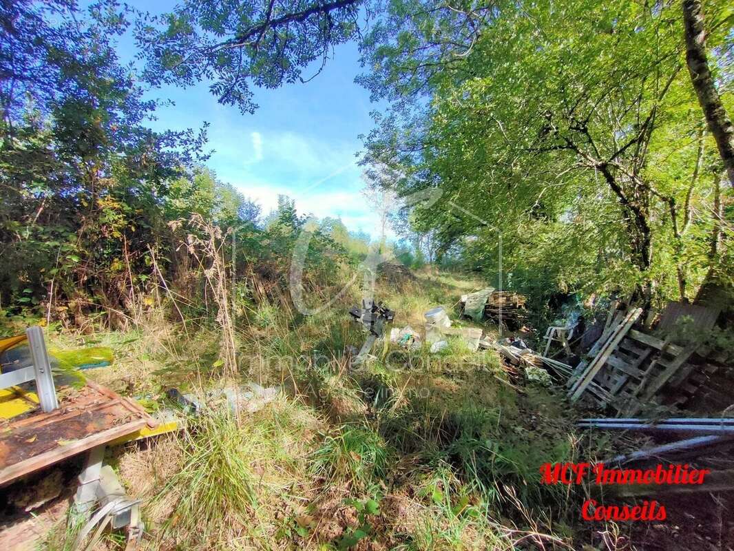 Terrain à PONT-DE-SALARS