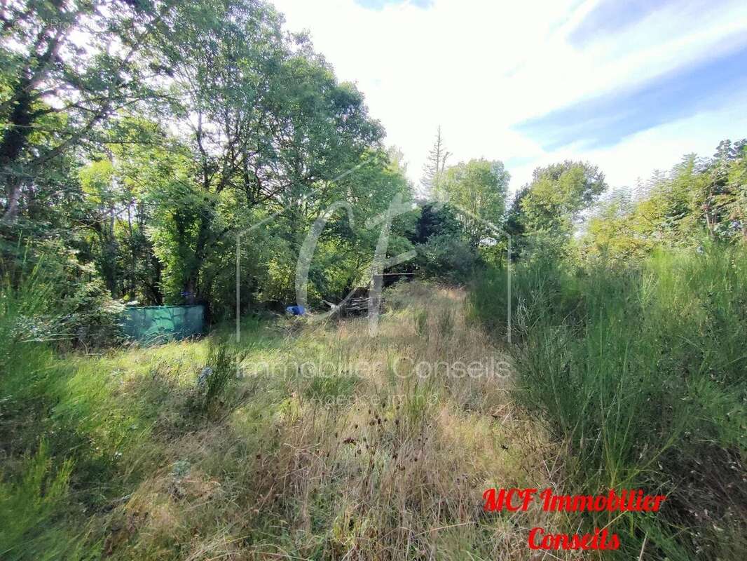 Terrain à PONT-DE-SALARS