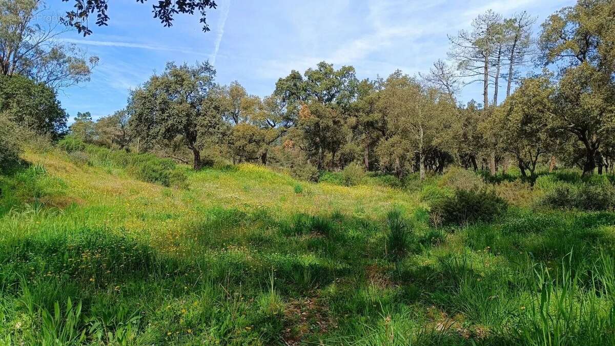 Appartement à BORMES-LES-MIMOSAS