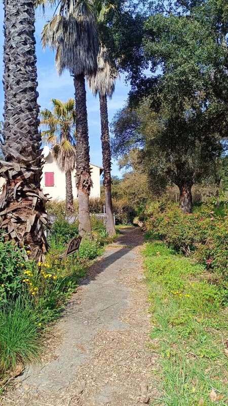 Appartement à BORMES-LES-MIMOSAS