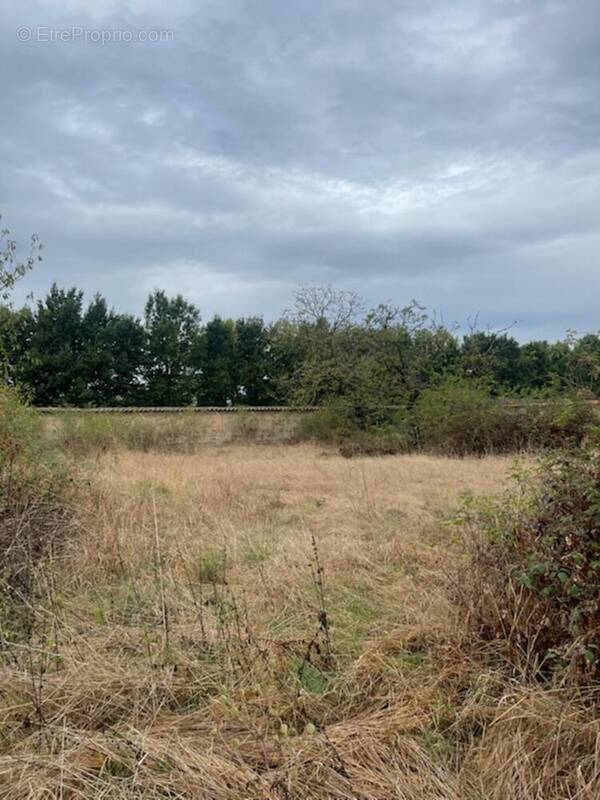 Photo 1 - Terrain à VEAUCHETTE