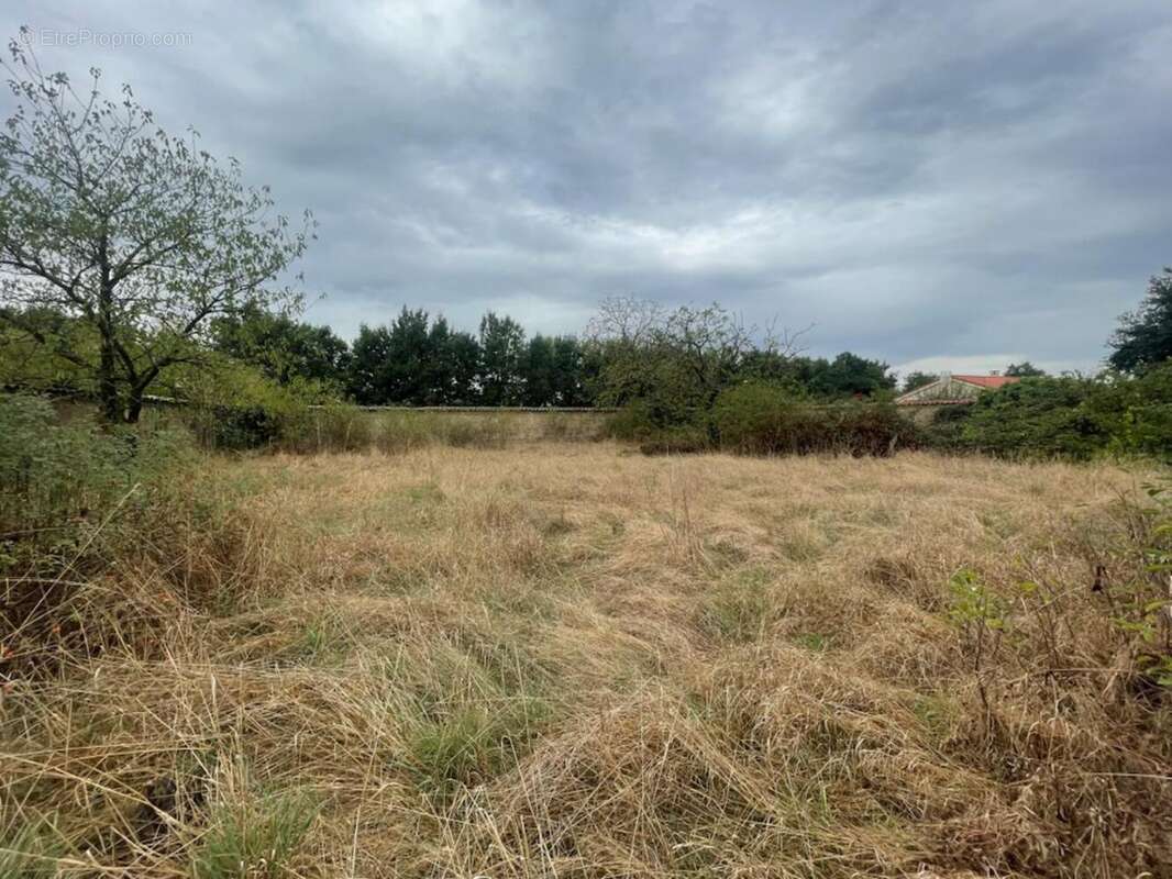 Photo 2 - Terrain à VEAUCHETTE