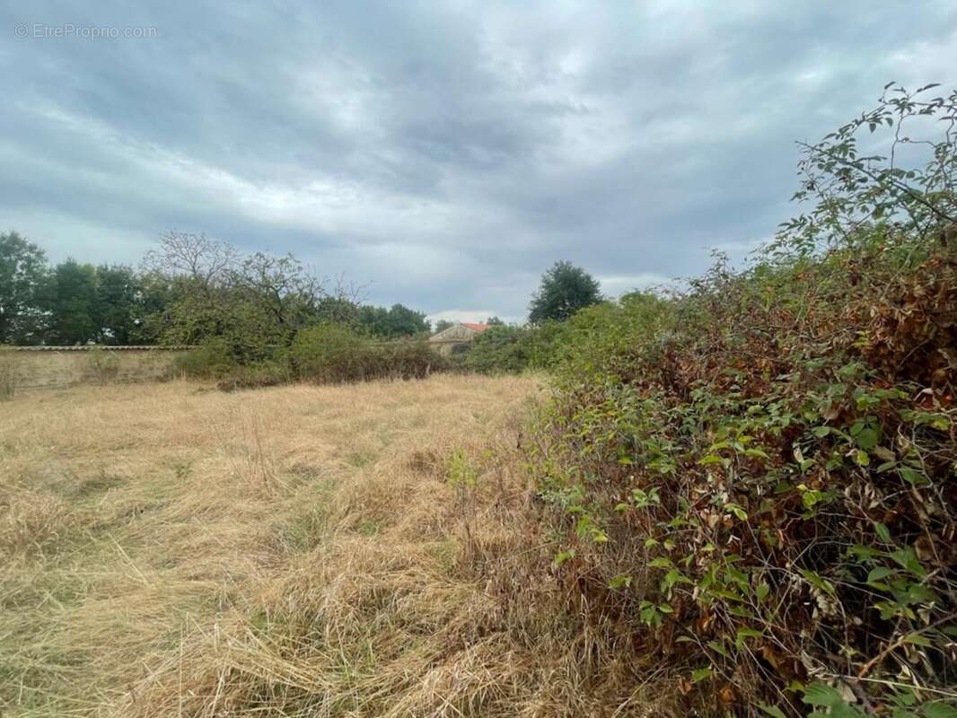 Photo 3 - Terrain à VEAUCHETTE