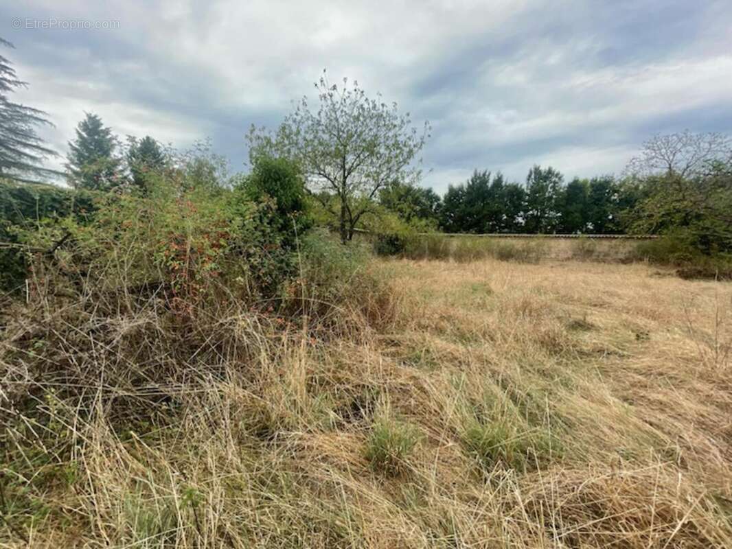 Photo 4 - Terrain à VEAUCHETTE