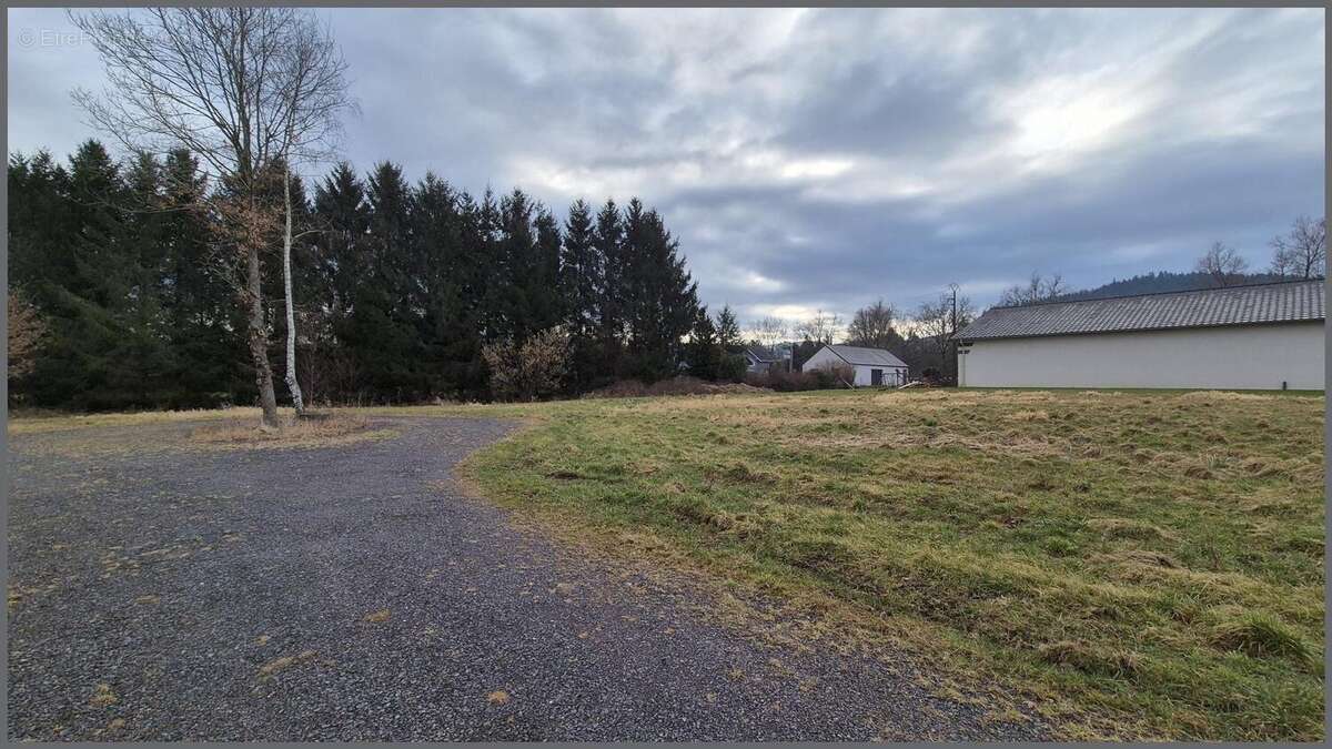 Photo 6 - Terrain à RAVES