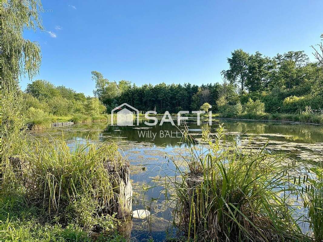 Photo 3 - Maison à MONTREUIL