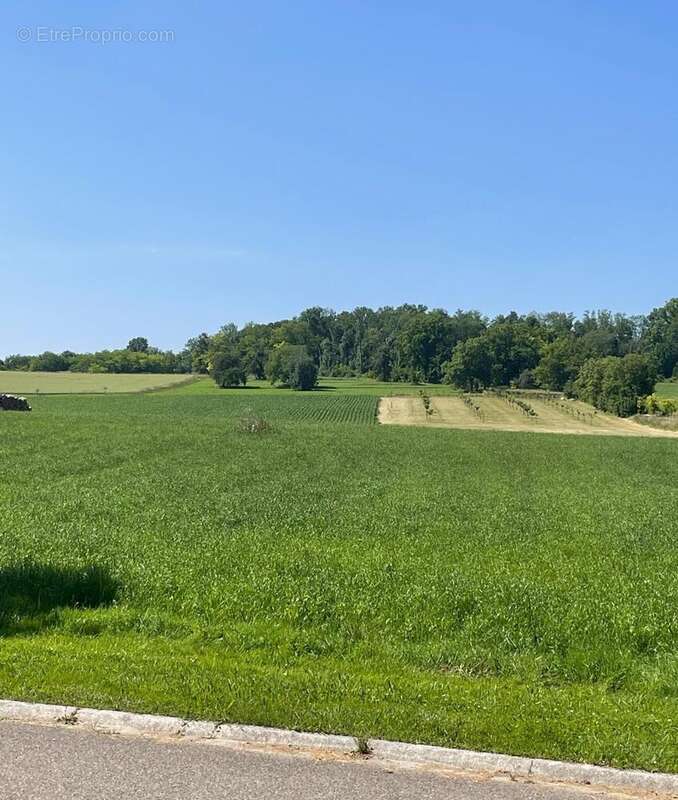 Photo 2 - Terrain à RANTZWILLER