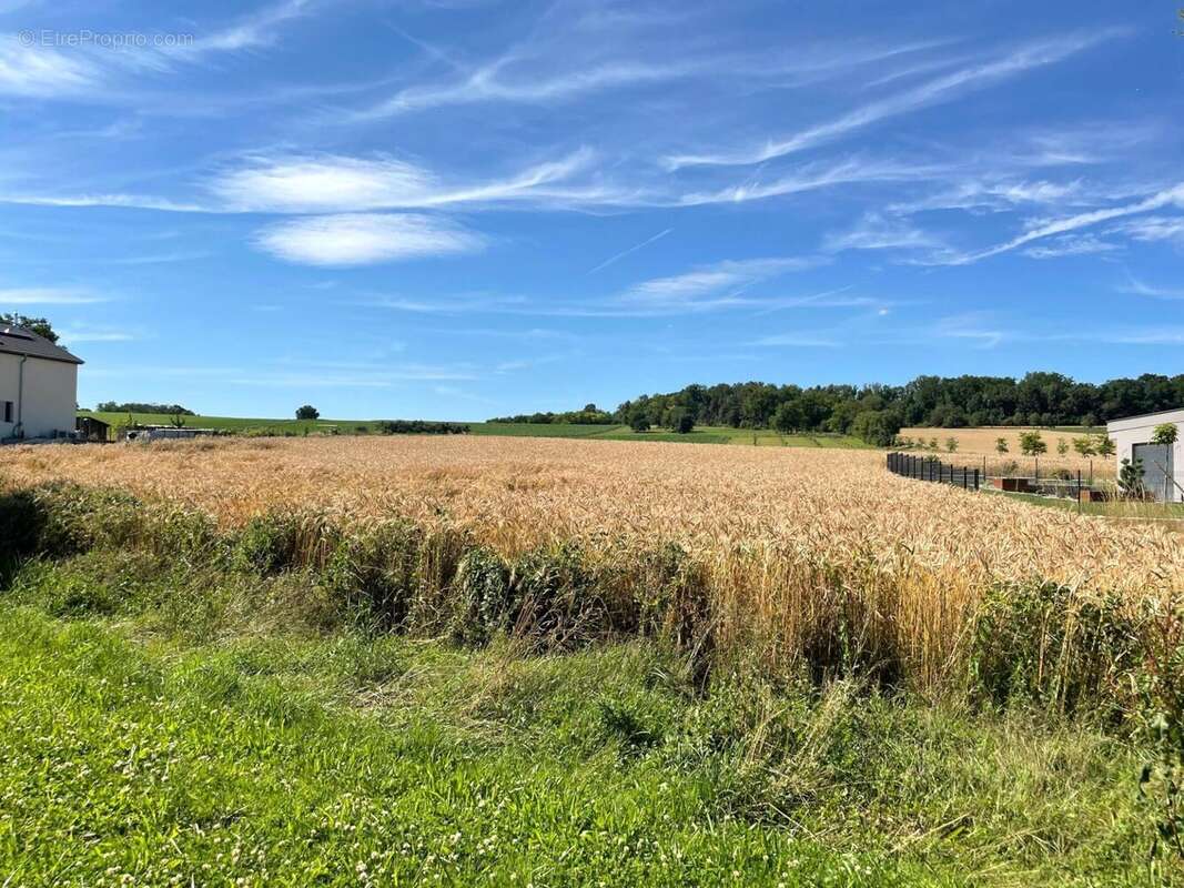 Photo 3 - Terrain à RANTZWILLER