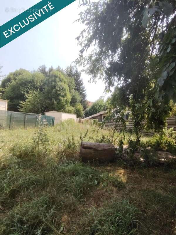 Photo 6 - Maison à LA JONCHERE-SAINT-MAURICE