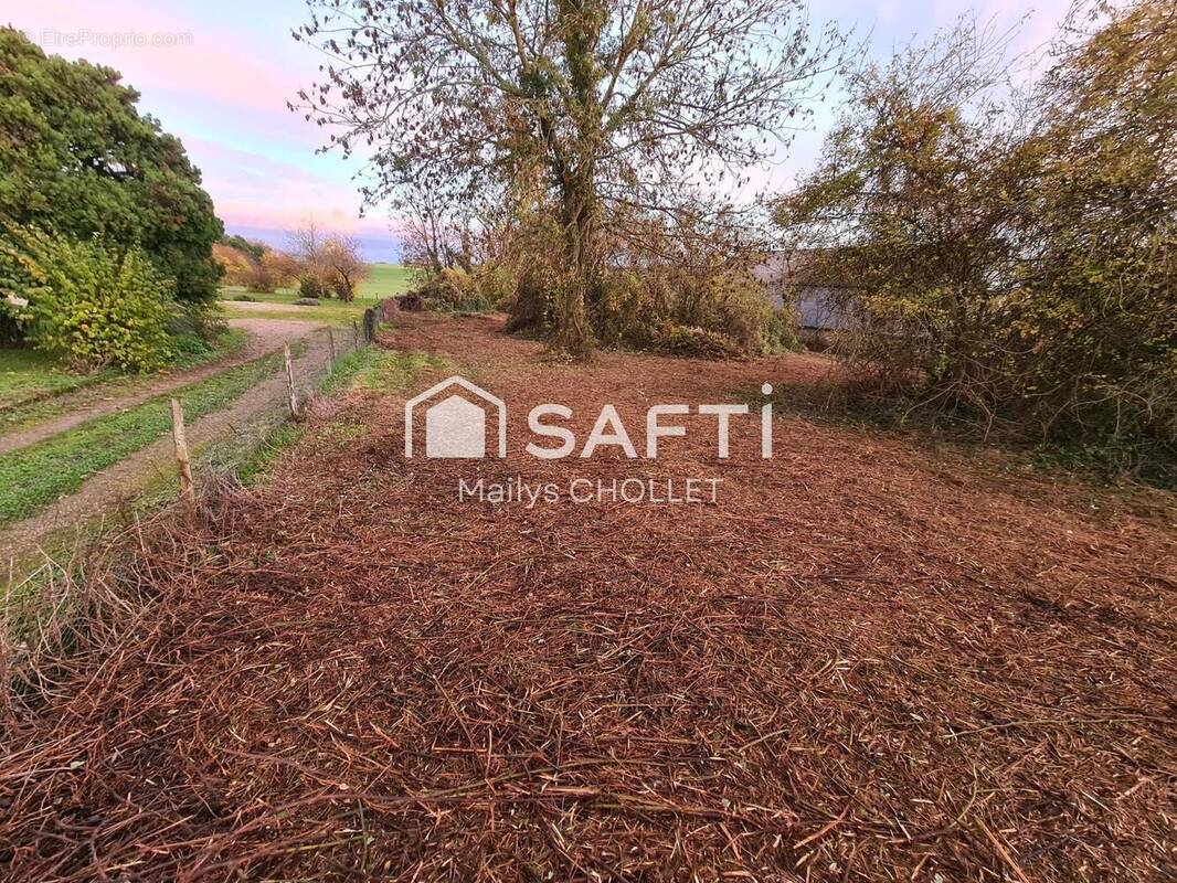 Photo 1 - Terrain à SEPMES