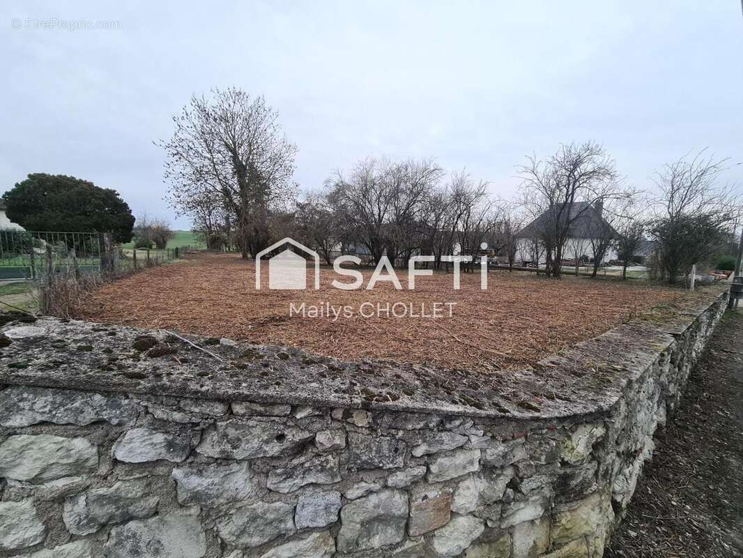 Photo 2 - Terrain à SEPMES