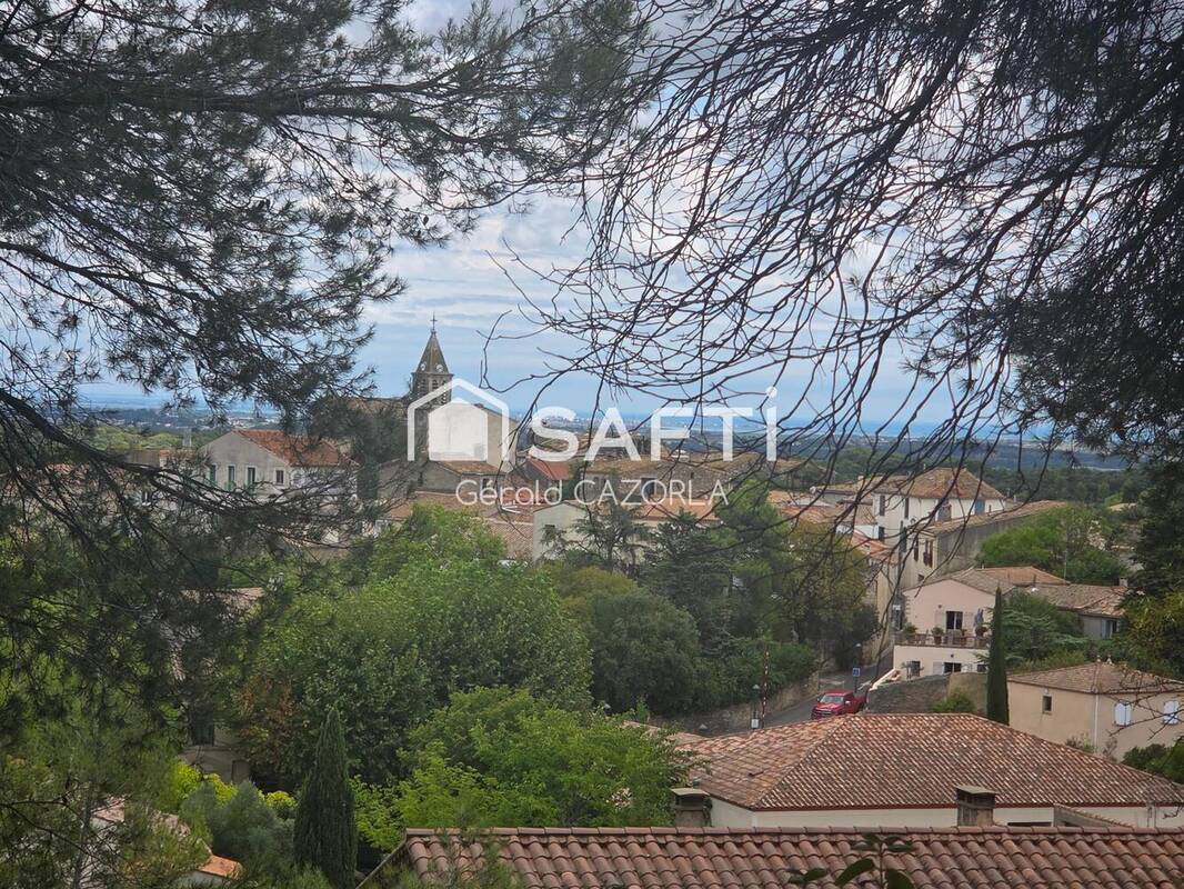 Photo 1 - Terrain à MURVIEL-LES-MONTPELLIER