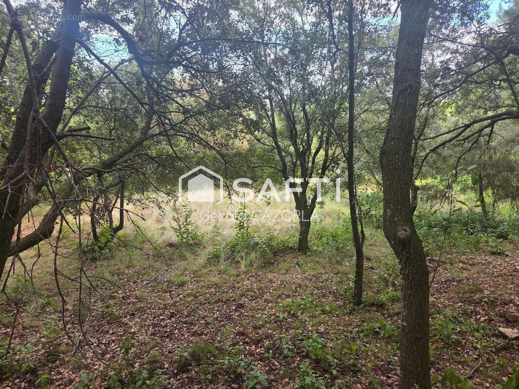 Photo 2 - Terrain à MURVIEL-LES-MONTPELLIER