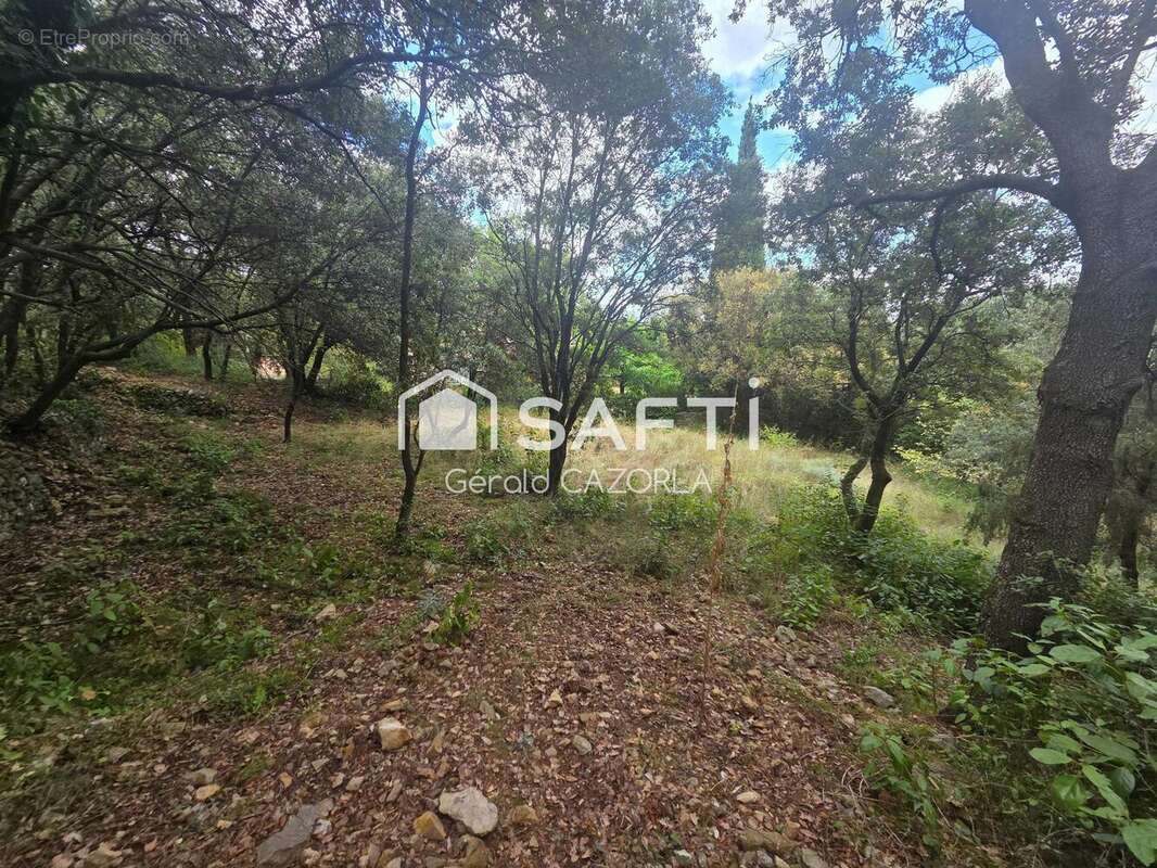 Photo 4 - Terrain à MURVIEL-LES-MONTPELLIER