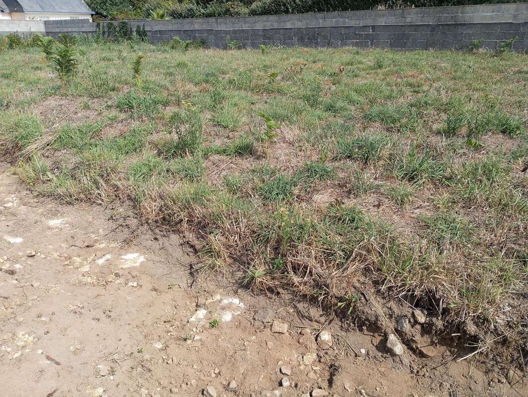 Photo 3 - Terrain à BELZ