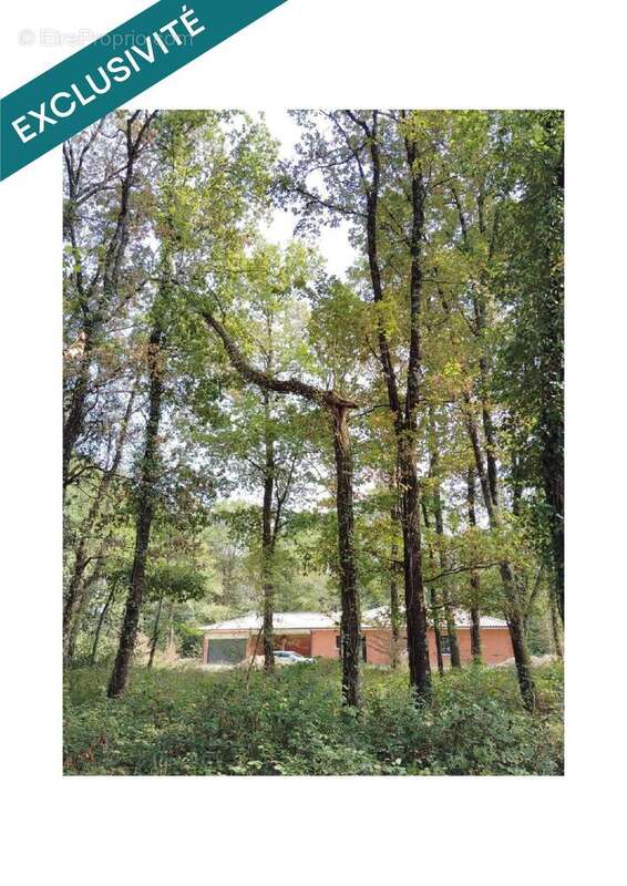 Photo 3 - Terrain à MONTPON-MENESTEROL