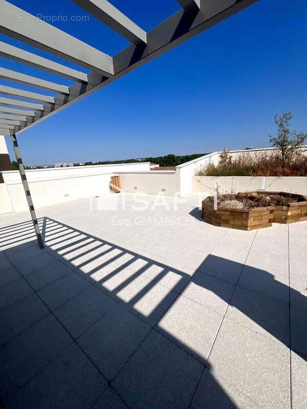 Photo 3 - Appartement à MONTPELLIER