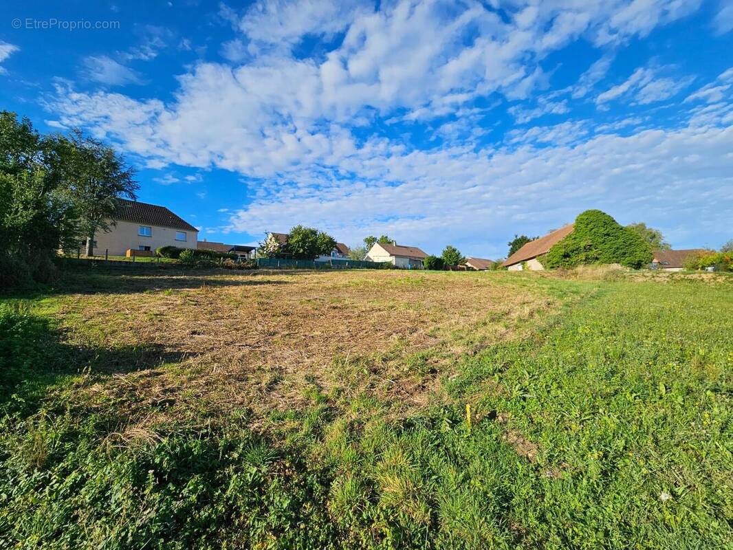 Photo 1 - Terrain à CUSSET