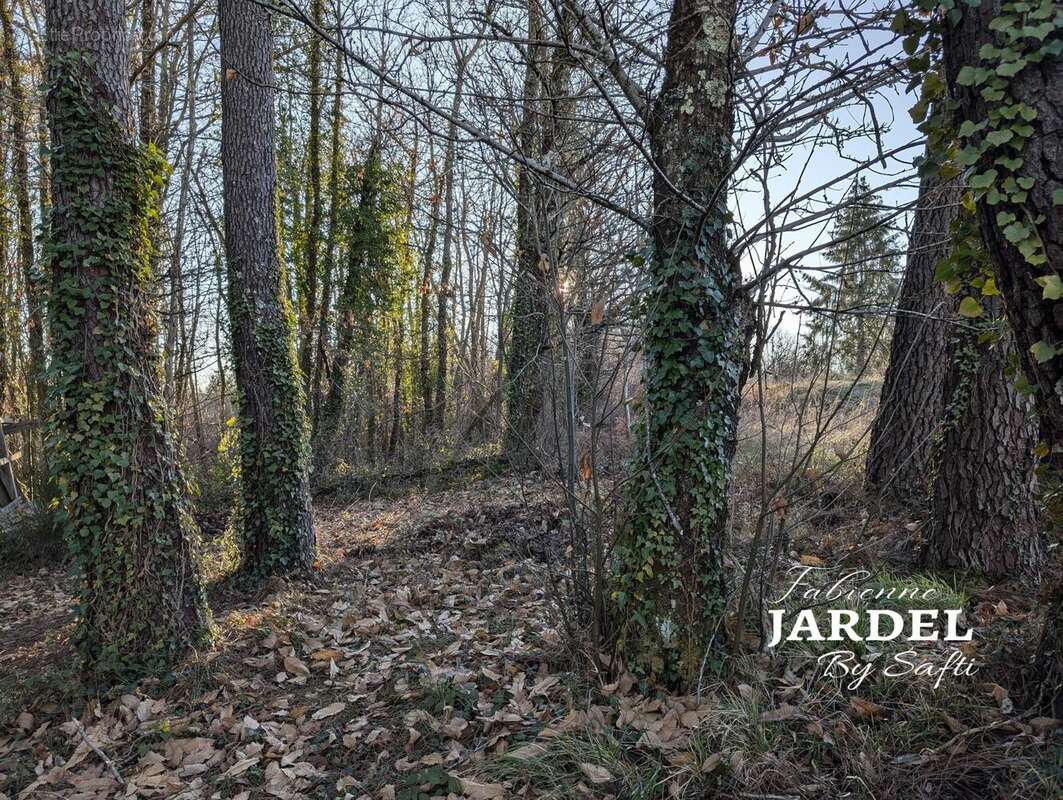 Photo 5 - Maison à SAINT-ANDRE-D&#039;ALLAS