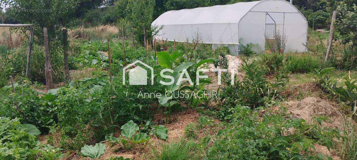 Photo 5 - Terrain à EXIREUIL