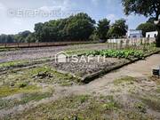 Photo 1 - Terrain à LA CHAPELLE-DES-MARAIS