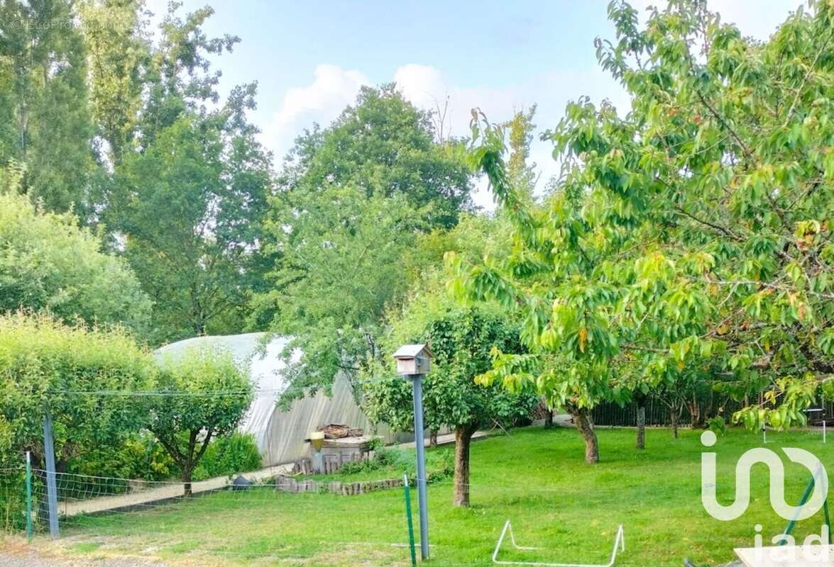 Photo 8 - Maison à APREMONT