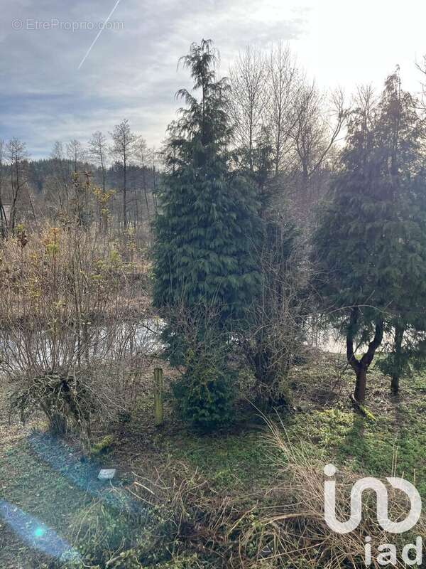 Photo 2 - Maison à CELLES-SUR-DUROLLE