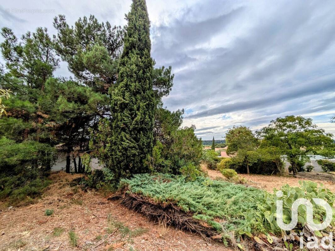Photo 1 - Terrain à CEYRAS