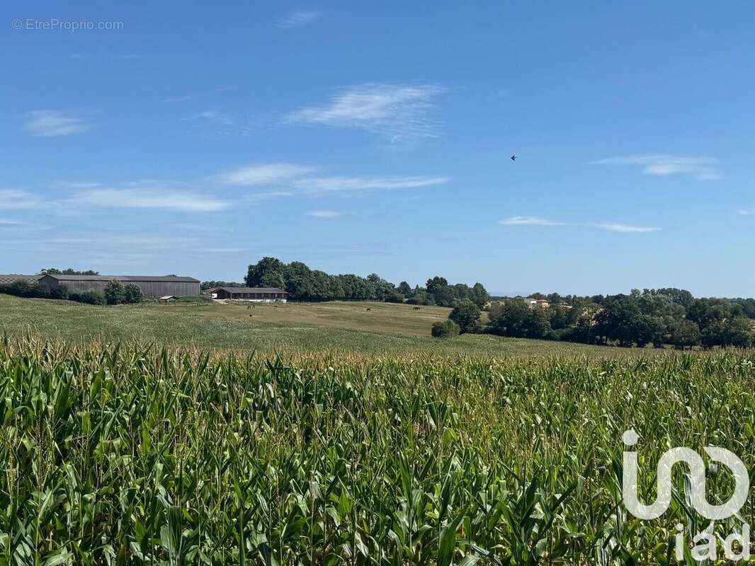 Photo 6 - Maison à LESCHEROUX