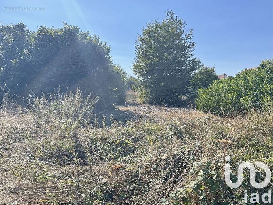 Photo 1 - Terrain à ROUVRES