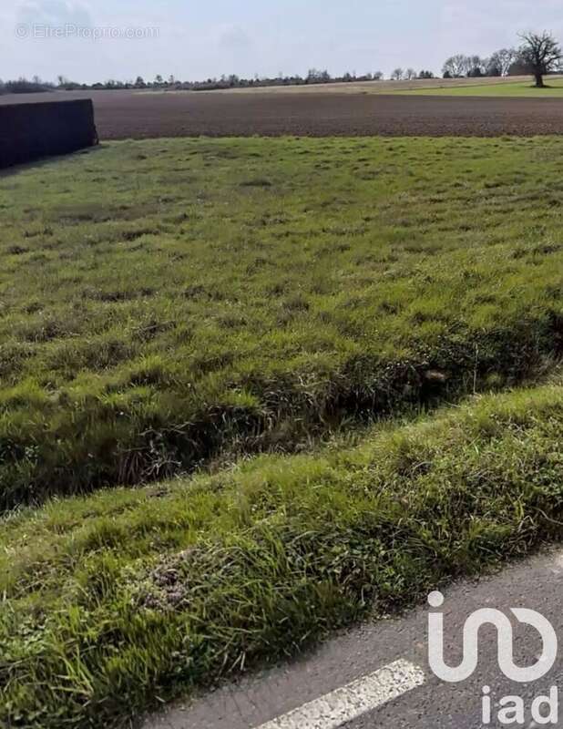 Photo 3 - Terrain à SAINT-GENIS-DE-SAINTONGE