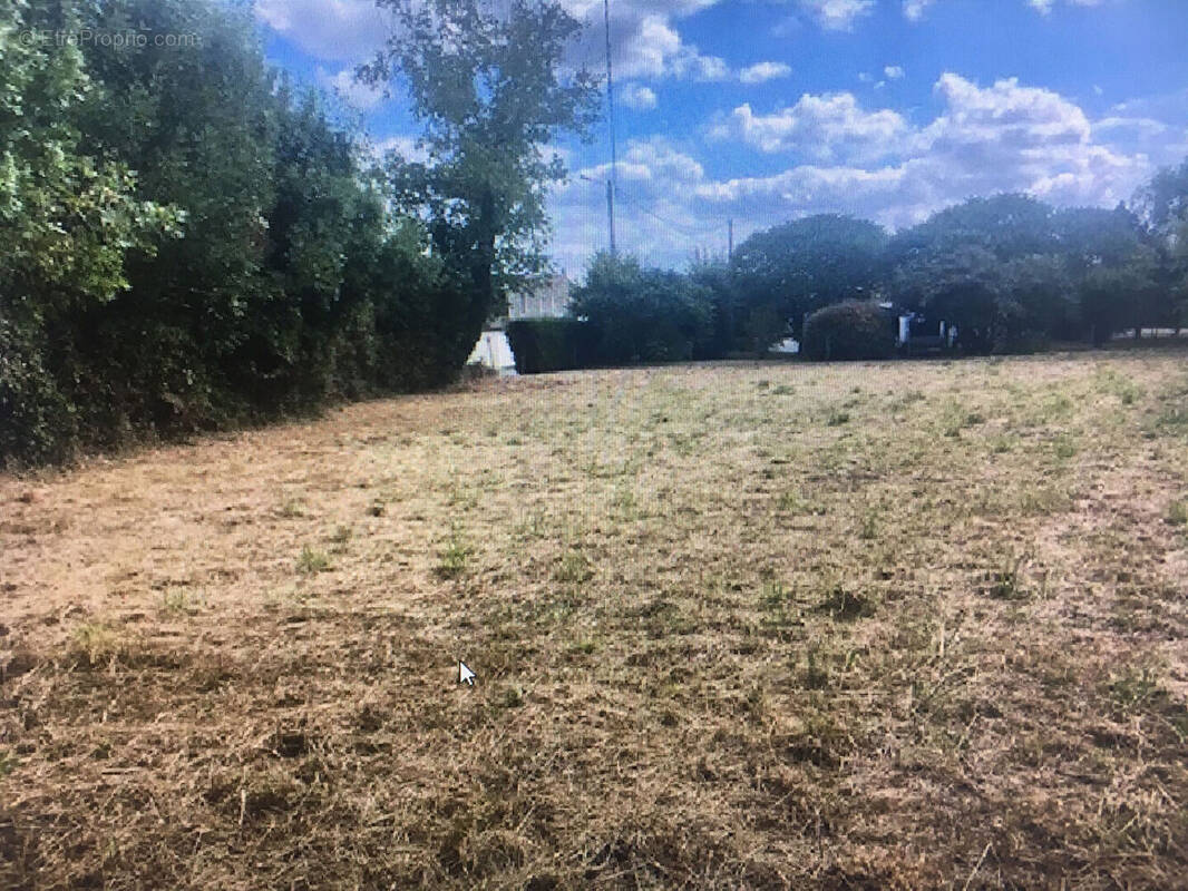 Terrain à GRANZAY-GRIPT