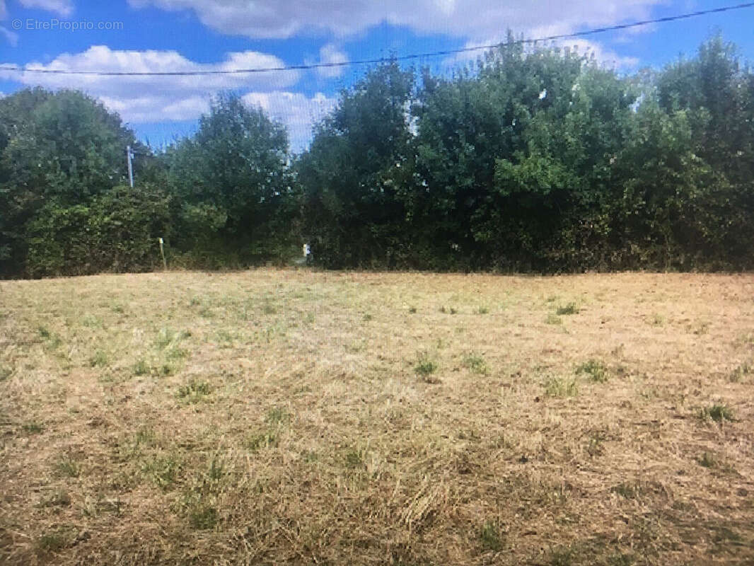 Terrain à GRANZAY-GRIPT