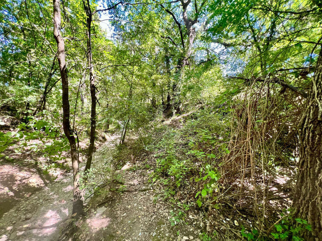 Terrain à LA DESTROUSSE