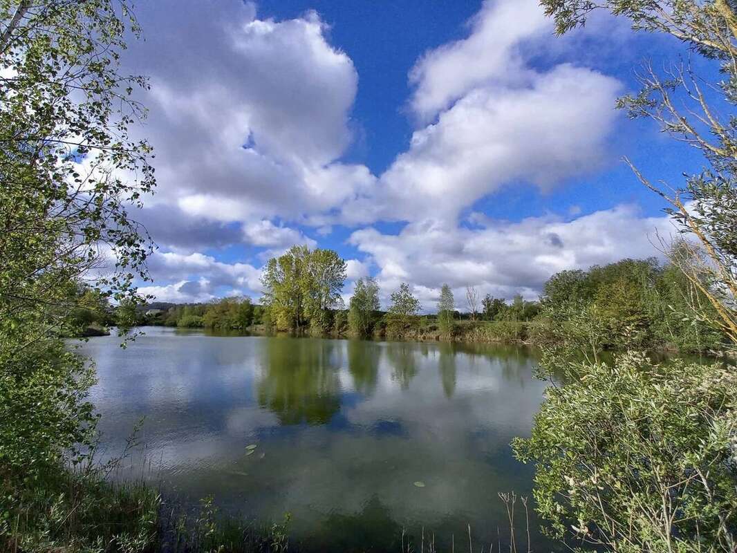 Terrain à BUCY-LE-LONG