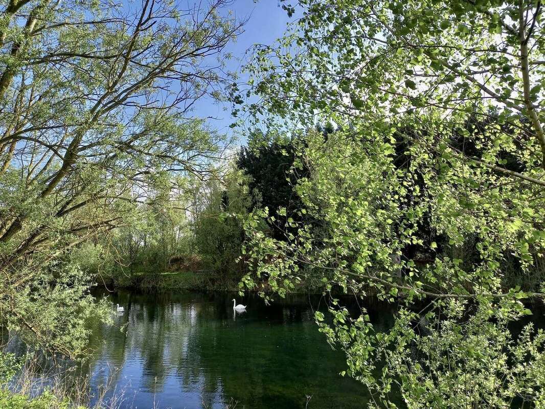 Terrain à BUCY-LE-LONG