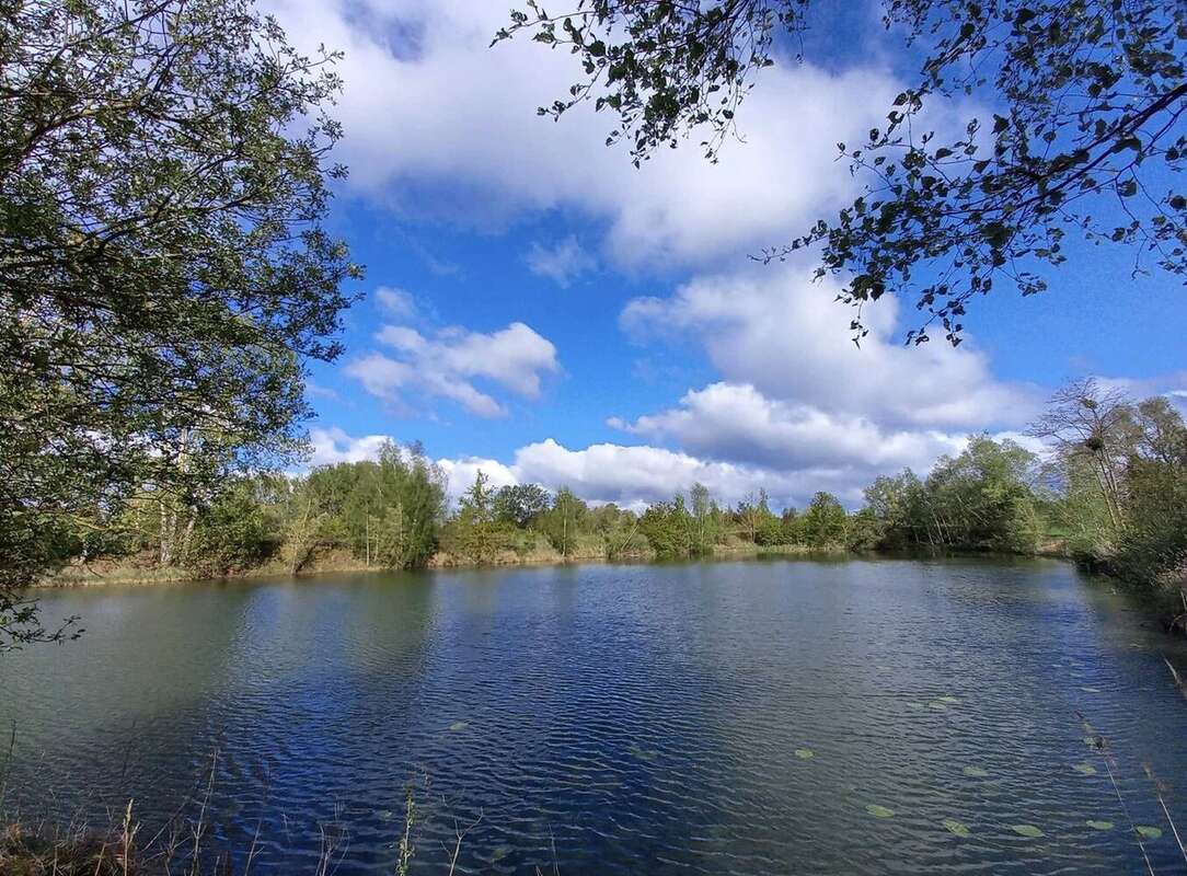 Terrain à BUCY-LE-LONG