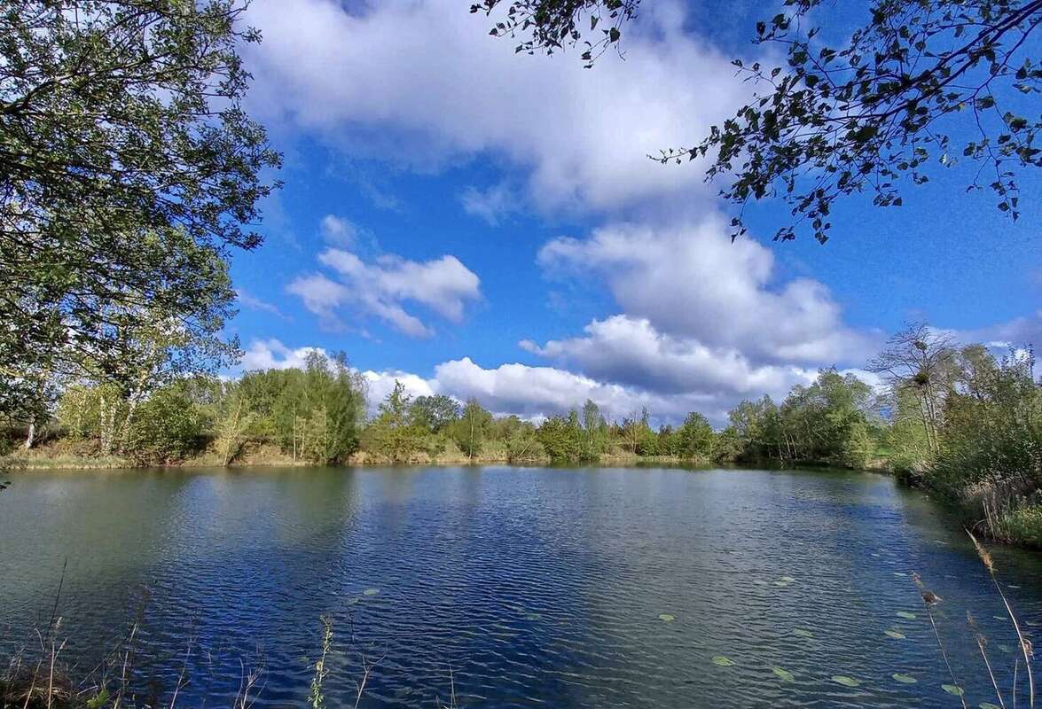 Terrain à BUCY-LE-LONG
