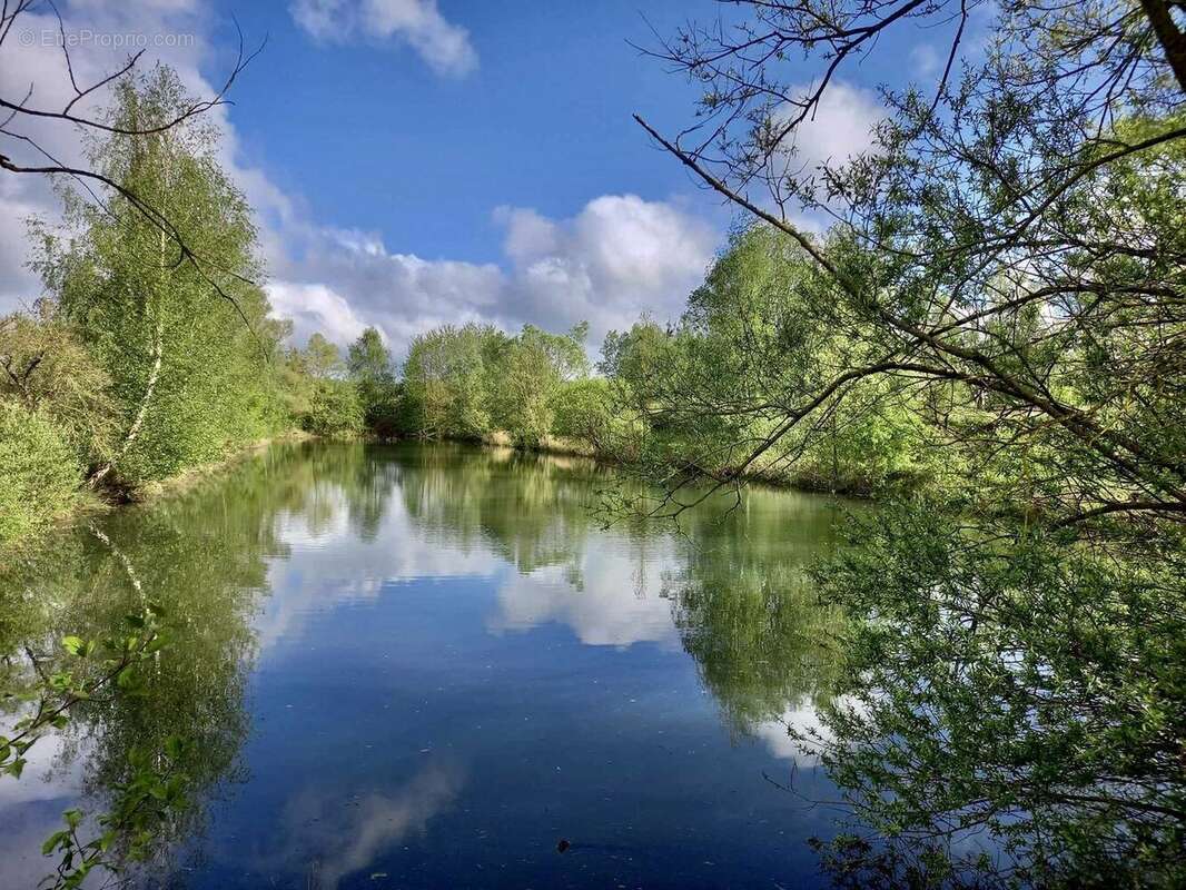 Terrain à BUCY-LE-LONG