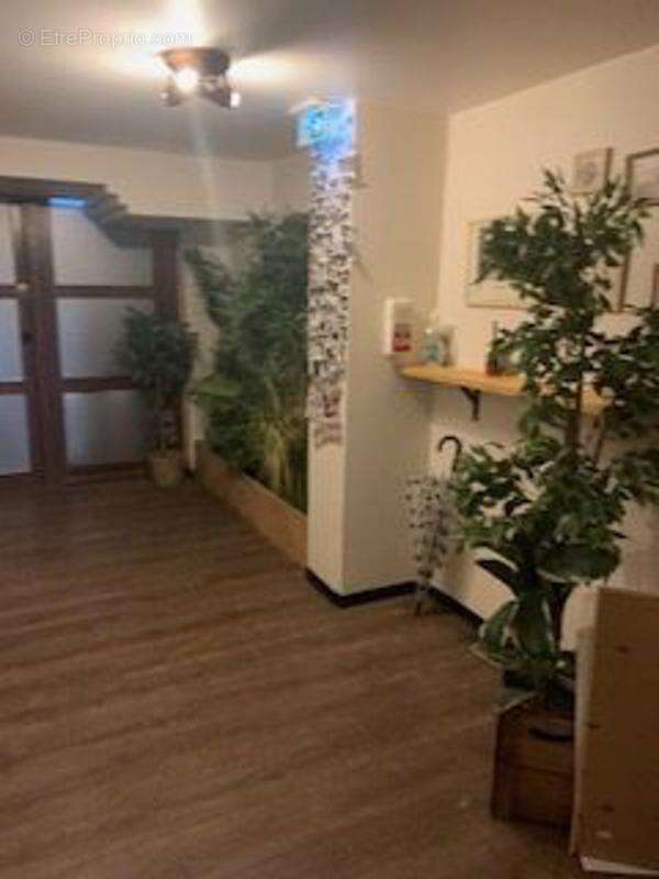 Commerce à HAGUENAU