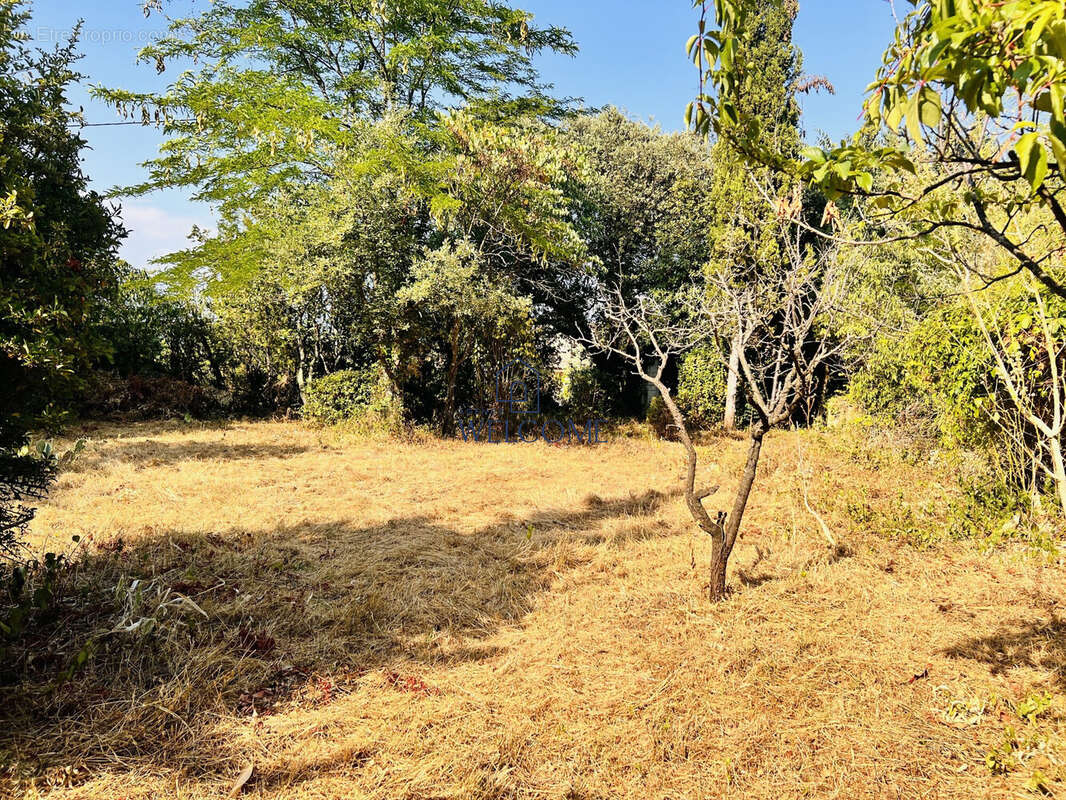 Terrain à BAGNOLS-SUR-CEZE