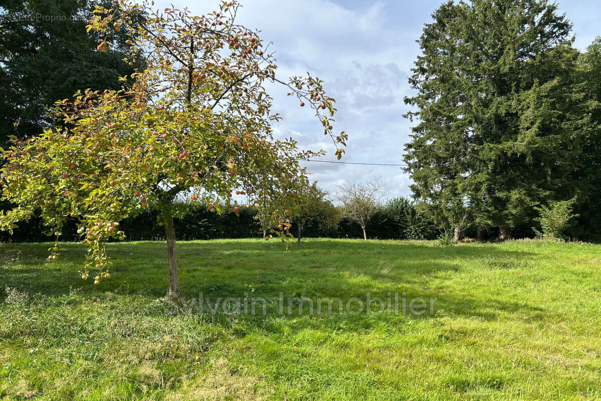 Terrain à ABANCOURT