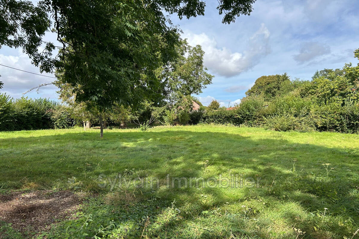 Terrain à ABANCOURT