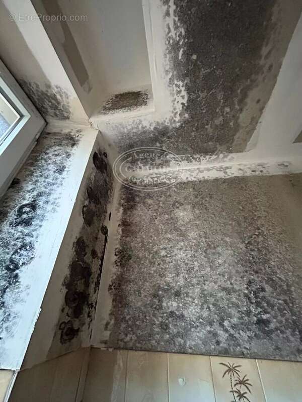 Appartement à LAVELANET