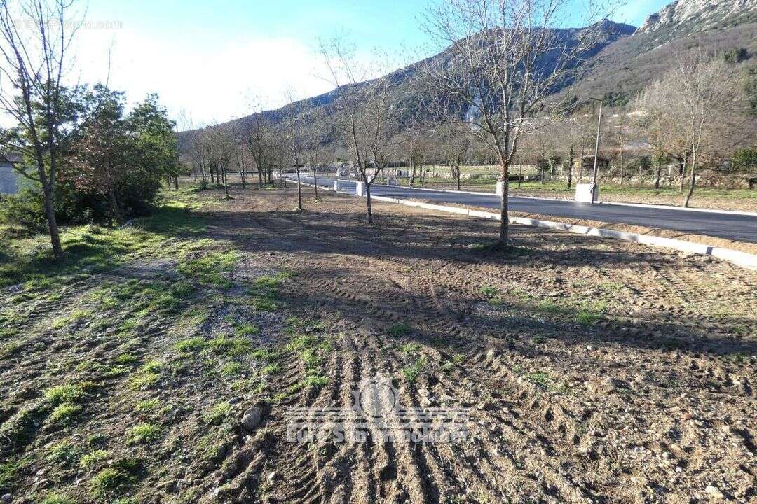 Terrain à COLOMBIERES-SUR-ORB