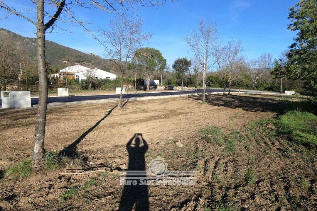 Terrain à COLOMBIERES-SUR-ORB