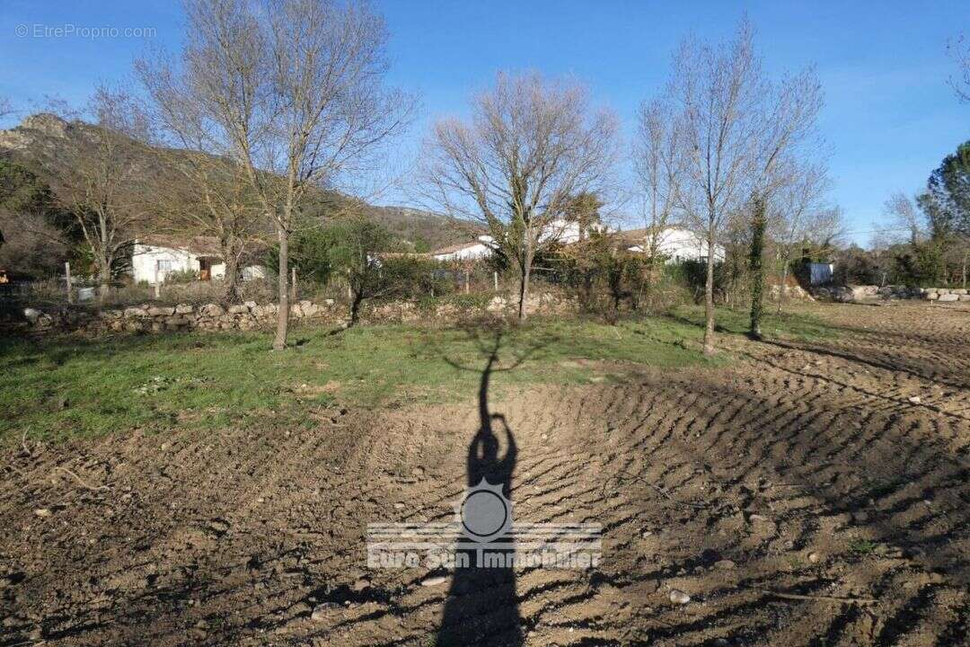Terrain à COLOMBIERES-SUR-ORB